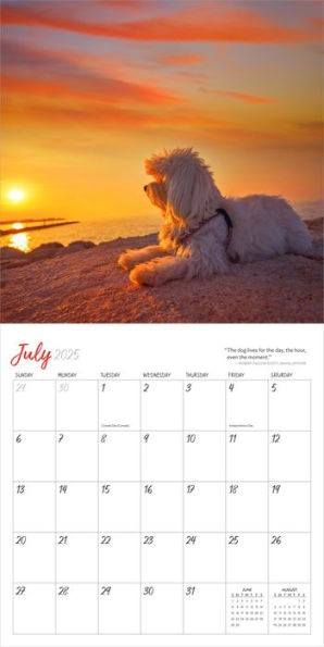 2025 Dogs on Vacation Wall Calendar