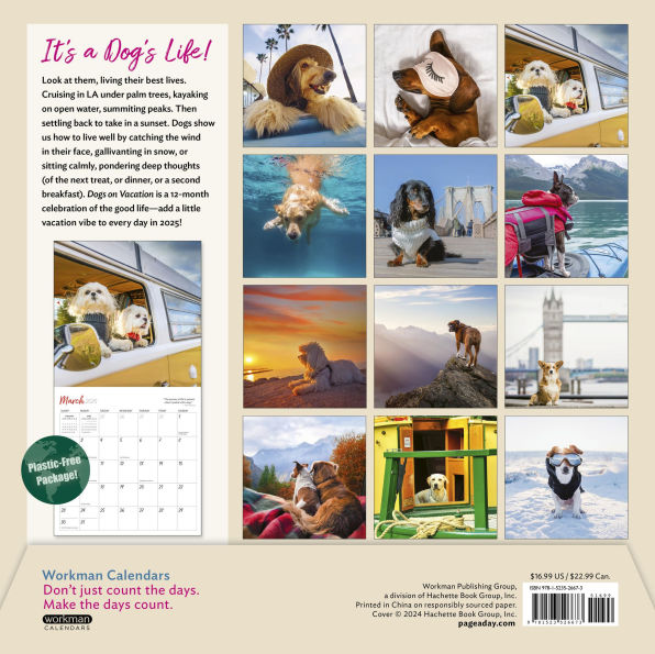 2025 Dogs on Vacation Wall Calendar