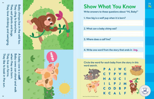 Brain Quest Phonics Workbook: Grade 1
