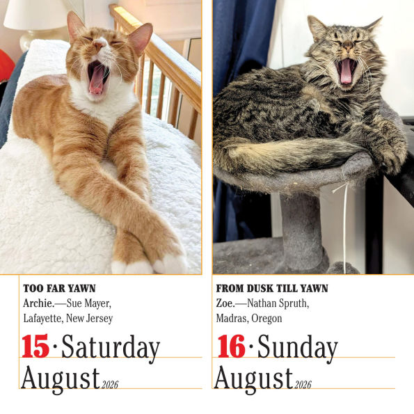 2026 365 Cats Page-A-Day Calendar