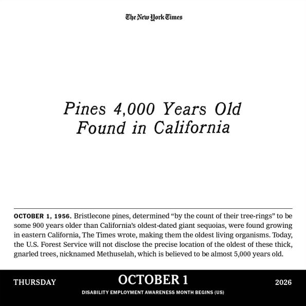 2026 New York Times Headlines in History Page-A-Day Calendar