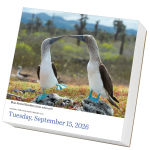 Alternative view 3 of 2026 Audubon Birds Page-A-Day Calendar