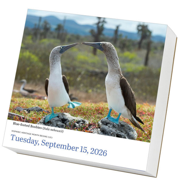 2026 Audubon Birds Page-A-Day Calendar