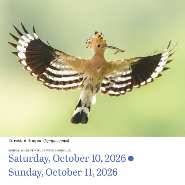 2026 Audubon Birds Page-A-Day Calendar