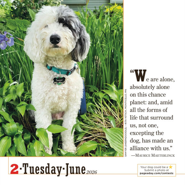 2026 365 Dogs Page-A-Day Calendar
