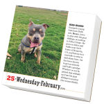 Alternative view 5 of 2026 365 Dogs Page-A-Day Calendar