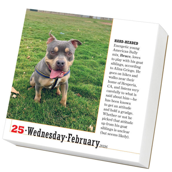 2026 365 Dogs Page-A-Day Calendar
