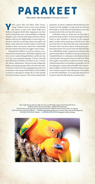 Birds: A Photicular Book