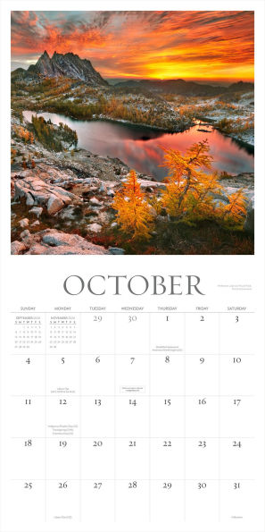 Washington Evergreen Wall Calendar 2026