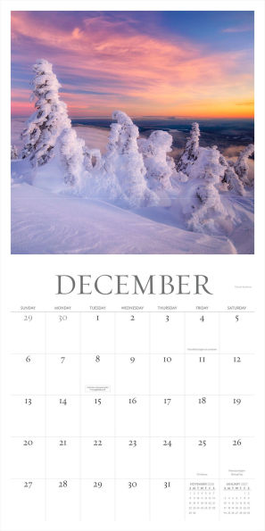 Washington Evergreen Wall Calendar 2026