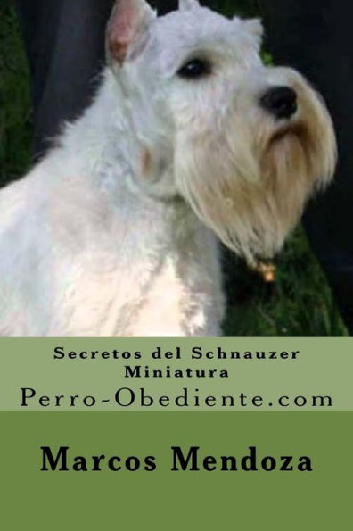 Secretos del Schnauzer Miniatura: Perro-Obediente.com