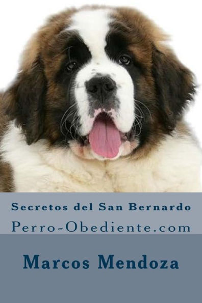 Secretos del San Bernardo: Perro-Obediente.com
