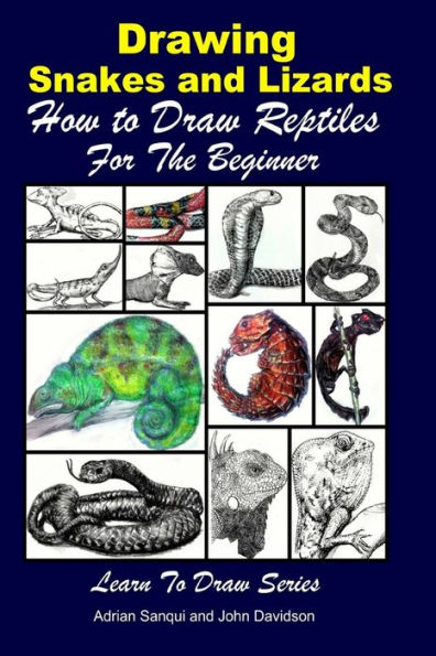 Drawing Snakes and Lizards - How to Draw Reptiles For the Beginner