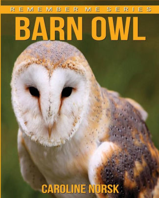 Barn Owl Amazing Photos Fun Facts Book About Barn Owl For Kids