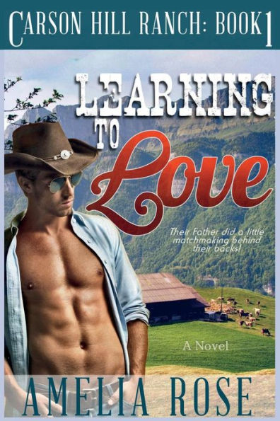 Learning To Love: Contemporary Cowboy Romance