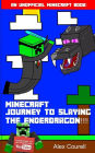 Journey To Slaying The Ender Dragon!