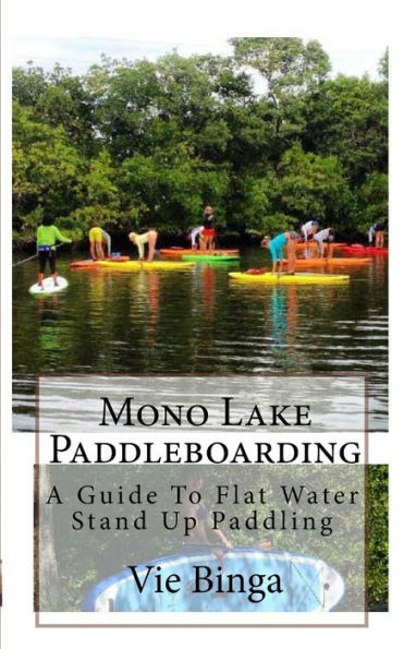 Mono Lake Paddleboarding: A Guide To Flat Water Stand Up Paddling