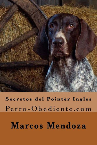 Secretos del Pointer Ingles: Perro-Obediente.com