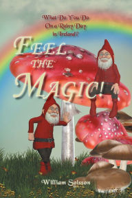 Title: Feel the Magic!: What Do You Do on a Rainy Day in Ireland?, Author: William Soisson