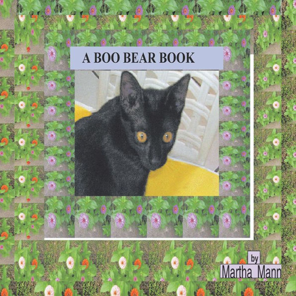 A Boo Bear Book