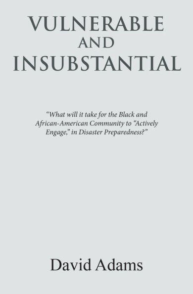 Vulnerable and Insubstantial: What Will It Take?