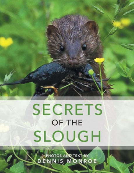 Secrets of the Slough