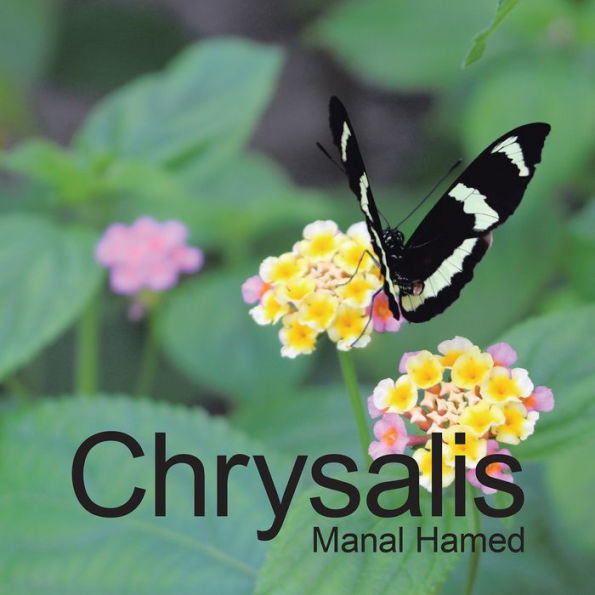 Chrysalis