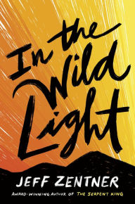 Free english books to download In the Wild Light by Jeff Zentner FB2