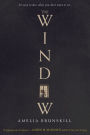 The Window