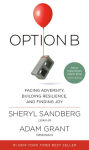 Alternative view 1 of Option B: Facing Adversity, Building Resilience, and Finding Joy