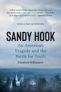 Sandy Hook: An American Tragedy and the Battle for Truth