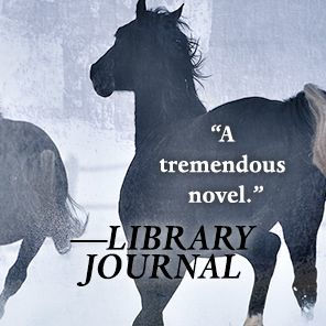 Tom's Crossing: A Novel