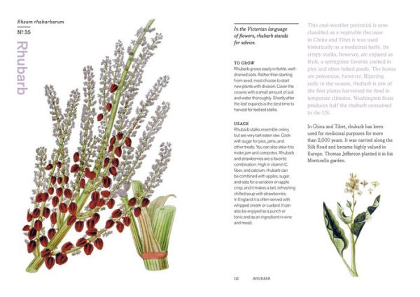 Herbal Handbook: 50 Profiles in Words and Art from the Rare Book Collections of The New York Botanical Garden