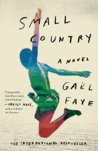 Books download free for android Small Country: A Novel by Gael Faye 9781524759872 PDF English version