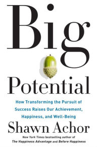 Big Potential: How Transforming the Pursuit of Success Raises Our Achievement, Happiness, and Well-Being