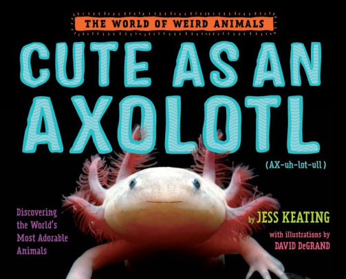 Cute As An Axolotl Discovering The World S Most Adorable Animals By Jess Keating Hardcover Barnes Noble