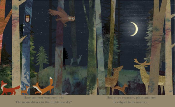 Moon: A Peek-Through Picture Book