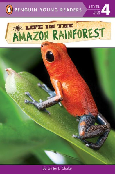 Life the Amazon Rainforest