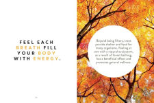 Alternative view 5 of The Little Book of Forest Bathing: Discovering the Japanese Art of Self-Care