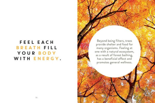 The Little Book of Forest Bathing: Discovering the Japanese Art of Self-Care