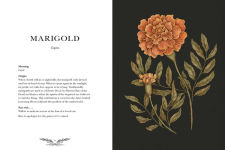 Alternative view 5 of Floriography: An Illustrated Guide to the Victorian Language of Flowers