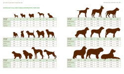 Alternative view 2 of Feed Your Best Friend Better, Revised Edition: Easy, Nutritious Meals and Treats for Dogs