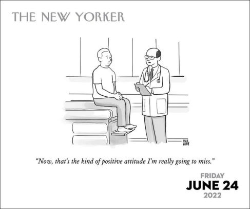 2022 Cartoons From The New Yorker Day-To-Day Calendar By Conde Nast | Barnes & Noble®