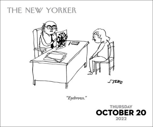 2022 Cartoons From The New Yorker Day-To-Day Calendar By Conde Nast | Barnes & Noble®