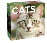 Free audiobook downloads free Cats 2022 Day-to-Day Calendar