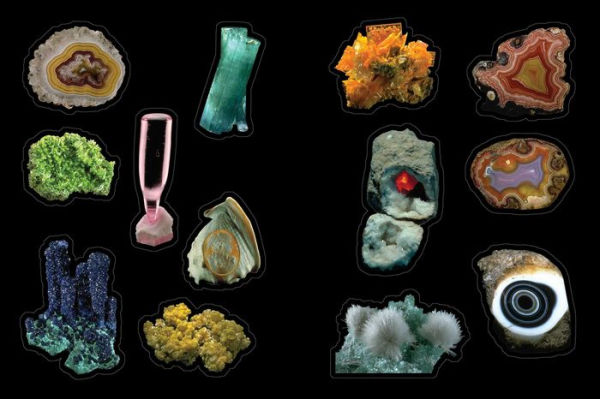 Cabinet of Curiosities: Over 1,000 Curated Stickers from the Fascinating Collections of the Smithsonian