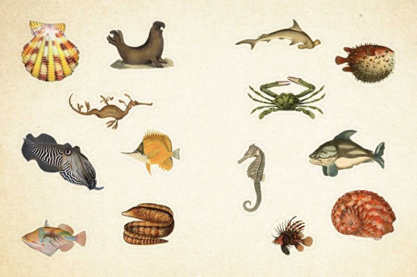 Cabinet of Curiosities: Over 1,000 Curated Stickers from the Fascinating Collections of the Smithsonian