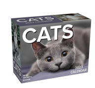 Free download ebooks in pdf Cats 2023 Mini Day-To-Day Calendar 9781524872724