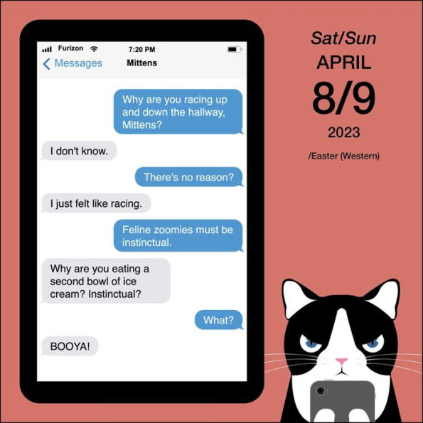 Barnes and Noble 2023 Texts from Mittens 2023 DaytoDay Calendar The