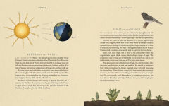 Alternative view 8 of The Wheel of the Year: An Illustrated Guide to Nature's Rhythms